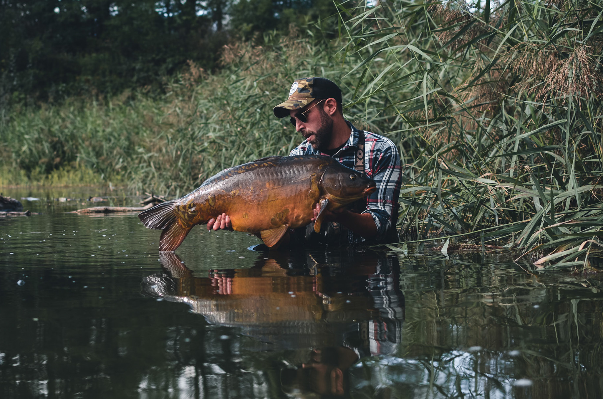 A Journey of Dedication and Perseverance - main