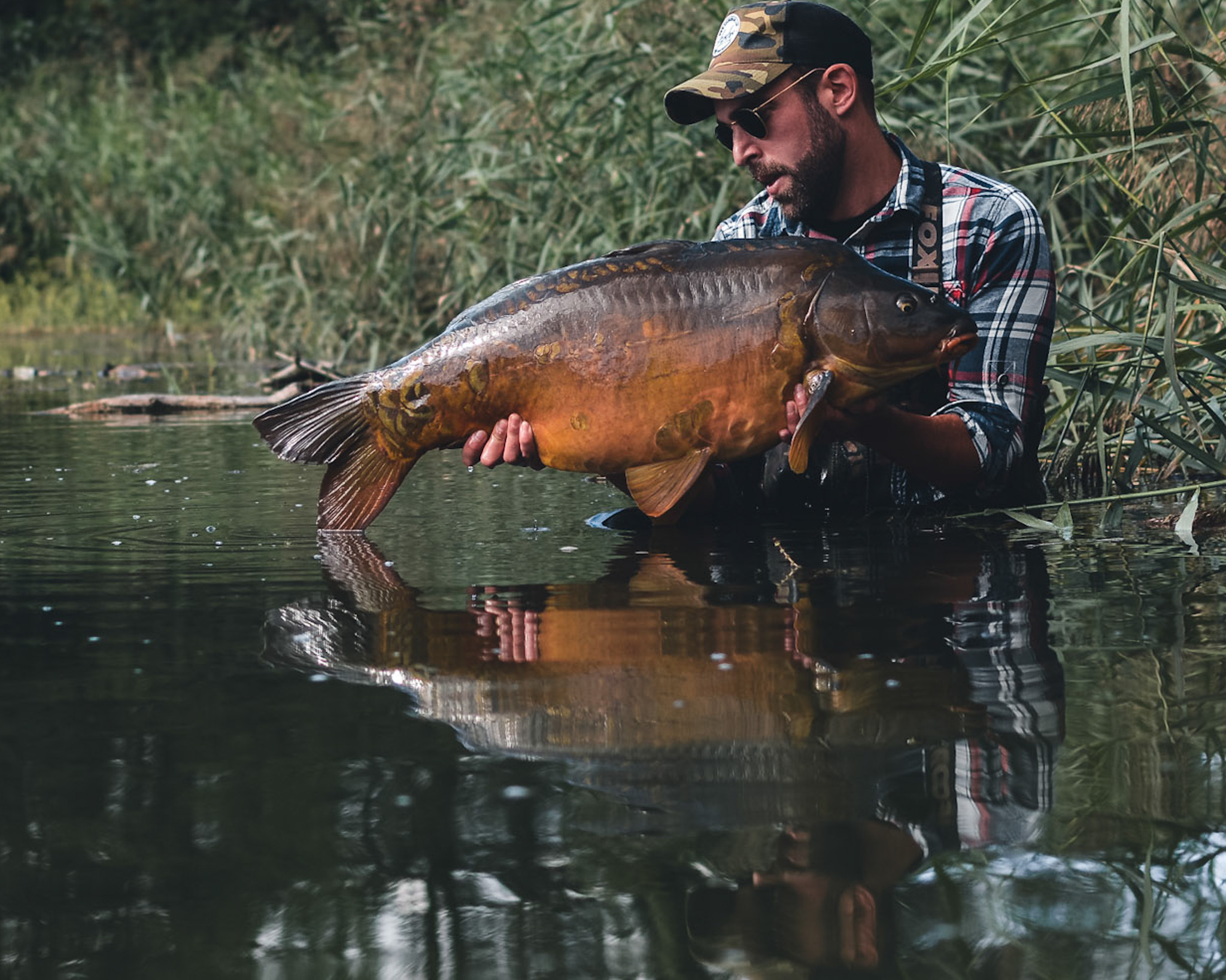 A Journey of Dedication and Perseverance - main